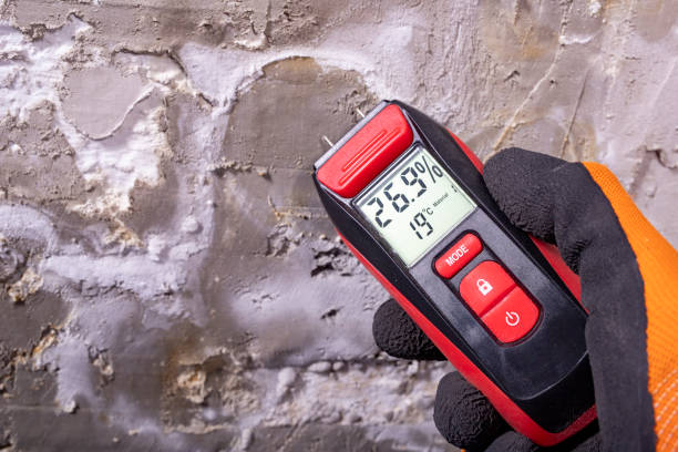Best Mold Testing and Inspection Services in Bude, MS