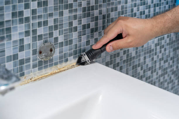 Best Bathroom Mold Remediation in Bude, MS